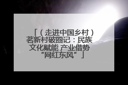 （走进中国乡村）茗新村破圈记：民族文化赋能 产业借势 “网红东风”
