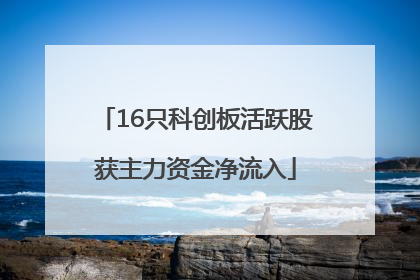 16只科创板活跃股获主力资金净流入