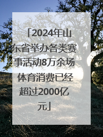 2024年山东省举办各类赛事活动8万余场 体育消费已经超过2000亿元