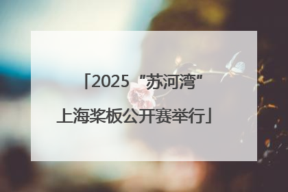 2025“苏河湾”上海桨板公开赛举行