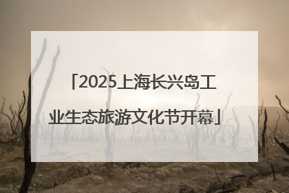 2025上海长兴岛工业生态旅游文化节开幕