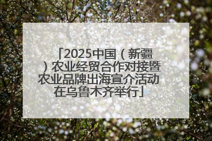 2025中国（新疆）农业经贸合作对接暨农业品牌出海宣介活动在乌鲁木齐举行