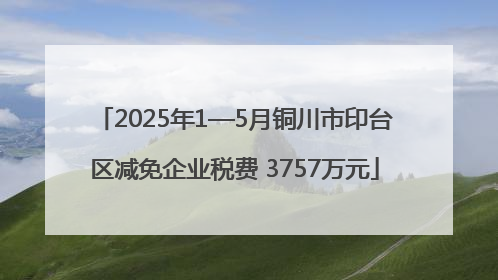 2025年1—5月铜川市印台区减免企业税费 3757万元