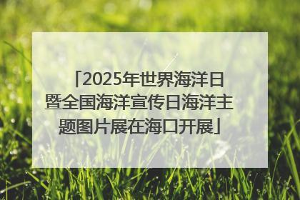 2025年世界海洋日暨全国海洋宣传日海洋主题图片展在海口开展