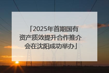 2025年首期国有资产质效提升合作推介会在沈阳成功举办