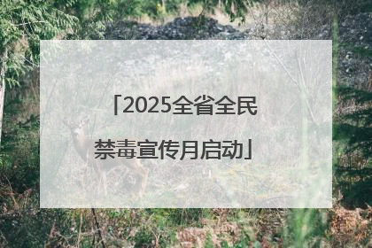 2025全省全民禁毒宣传月启动