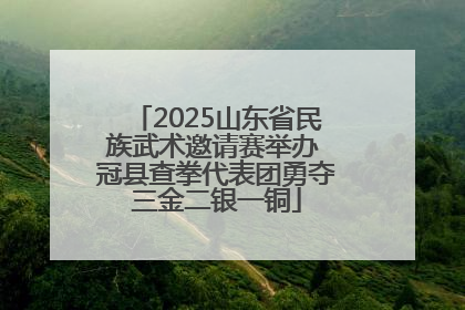 2025山东省民族武术邀请赛举办 冠县查拳代表团勇夺三金二银一铜