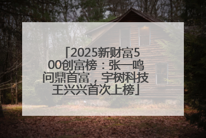 2025新财富500创富榜：张一鸣问鼎首富，宇树科技王兴兴首次上榜