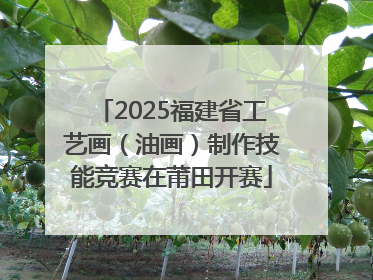 2025福建省工艺画（油画）制作技能竞赛在莆田开赛