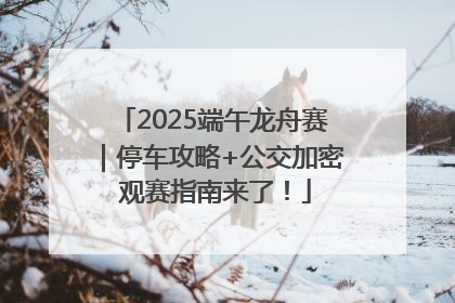2025端午龙舟赛｜停车攻略+公交加密 观赛指南来了！
