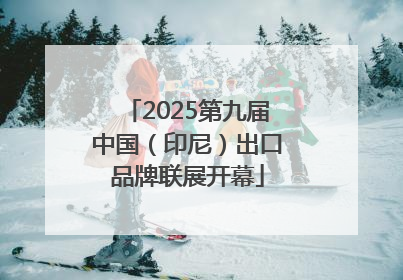 2025第九届中国（印尼）出口品牌联展开幕