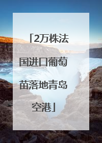 2万株法国进口葡萄苗落地青岛空港