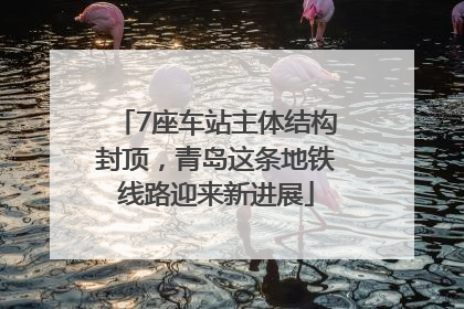 7座车站主体结构封顶，青岛这条地铁线路迎来新进展