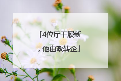 4位厅干履新，他由政转企