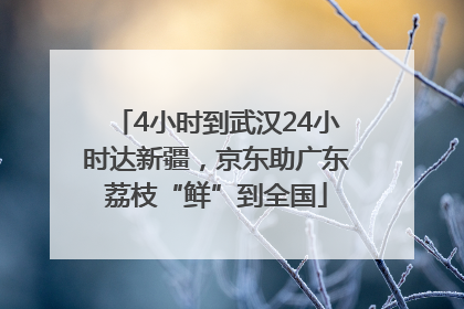 4小时到武汉24小时达新疆，京东助广东荔枝“鲜”到全国