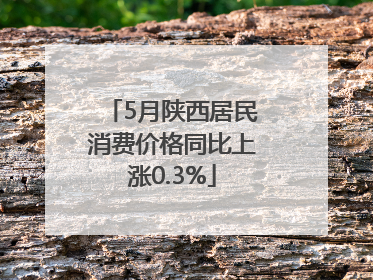 5月陕西居民消费价格同比上涨0.3%