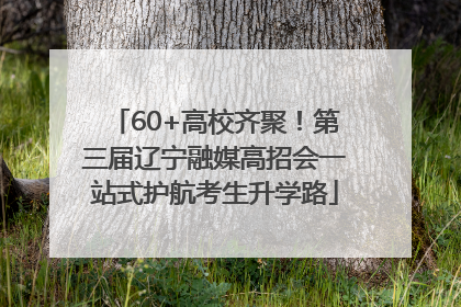 60+高校齐聚！第三届辽宁融媒高招会一站式护航考生升学路