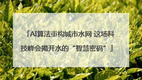 AI算法重构城市水网 这场科技峰会揭开水的“智慧密码”