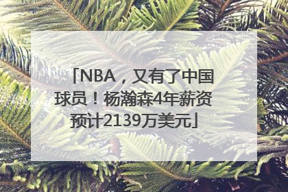 NBA，又有了中国球员！杨瀚森4年薪资预计2139万美元